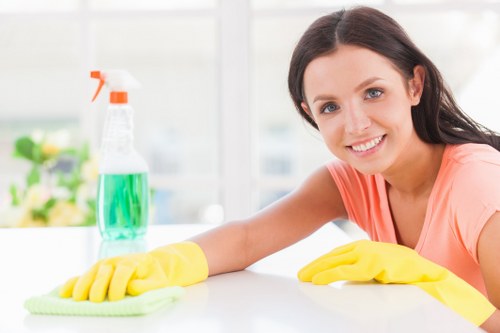 Professional home cleaners working in a Hampstead residence