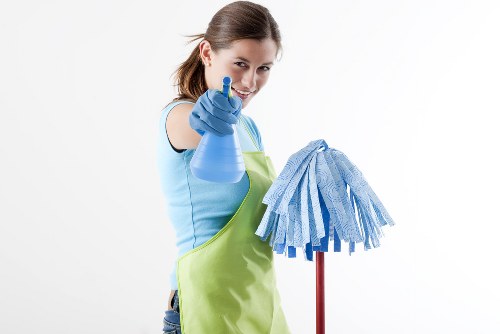 Professional one off cleaning in a Hampstead living room