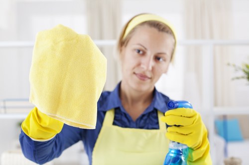 Professional end of tenancy cleaning in a Hampstead home