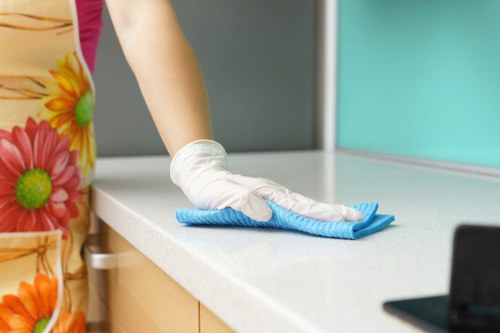 Cleaner carrying out insured and safe cleaning work in Hampstead