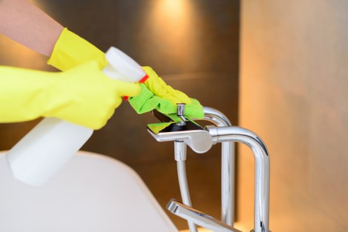 Professional cleaner in Hampstead delivering detailed property care
