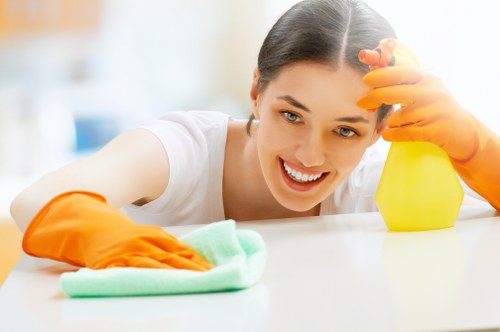 Professional Hampstead cleaners introducing the company with a focus on quality service
