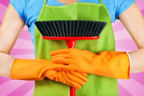 Professional oven cleaning in a Hampstead kitchen