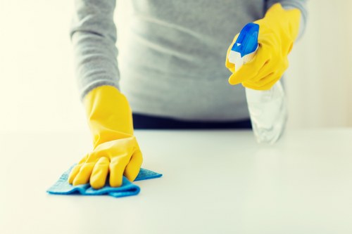 Supervisor reviewing workplace safety procedures during cleaning operations
