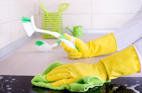 Hampstead domestic cleaning services for a tidy living space