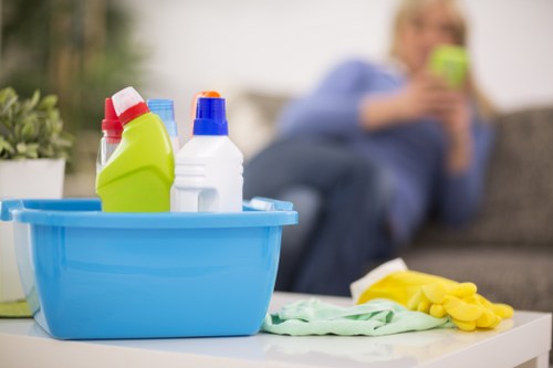 Eco-friendly house cleaning in Hampstead